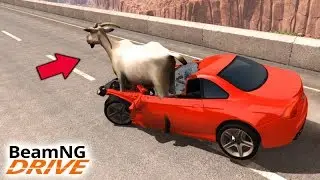 CARRO vs CABRA!!! (ACIDENTE em 200km/h) - BeamNG Drive