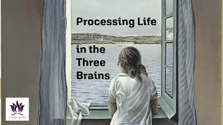 Processing Life in the Three Brains | Cultivating Virtue, Conquering Vice