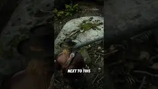 Finding Viking Armor in RDR2