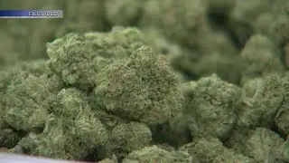 New Mexico sees $300 million in recreational cannabis sales since legalized