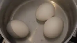 Making food, soft boiling chicken eggs
