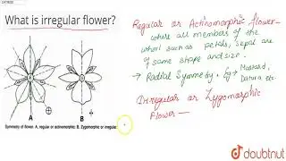 What is irregular flower?