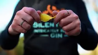Silent Pool Gin Martini