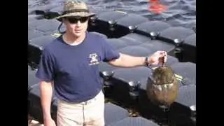 08-20-2C Dive School Video