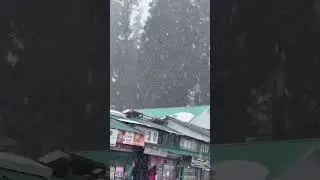 Today 16 January 2026 #snowfall #gulmarg