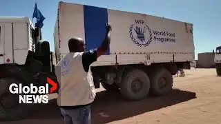 Sudan crisis: Refugees resorting to 