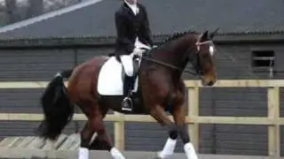 For Jazz - In Memory Of Cicero ♥
