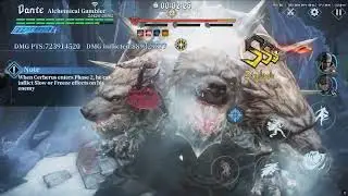 MM/AG/DS | Takedown Cerberus Using Tomboy Slam | Boss Hunt | Devil May Cry: Peak of Combat | ASIA