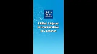 Xinhua News | 2 killed, 4 injured in Israeli airstrike in S. Lebanon