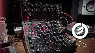 Accidental Music Vol. 444 | Moog Sound Studio (Moog DFAM, Subharmonicon, Labyrinth)