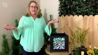 Plow & Hearth Interchangeable Color Changing Metal Planter with Remote on QVC