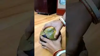 taal #ytshorts #viral #fruit #shorts