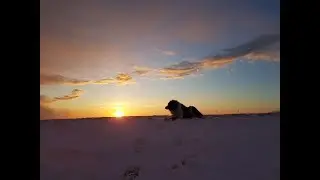 Borkum im Winter 2018 I Borkumer Schnuckensch&auml;ferei