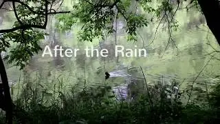 After the Rain