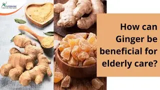 Benefits of Using Ginger in Elderly Care | Everblink Healthcare