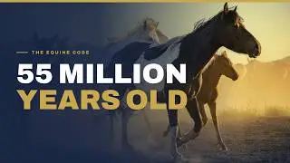 5 Evolutionary Remnants Every Horse Person Should Know (Especially #5)