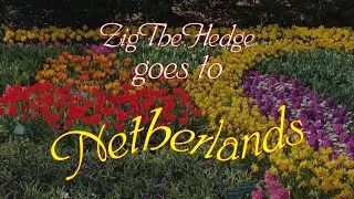 Let's play - Real Life! - Netherlands - Нидерланды