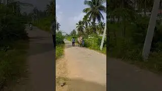 DAVLATH #karnatakaagriculture #hallikarbullcart #hallikar #hallikarbulls #bullockcart #agriculture