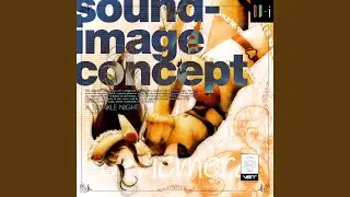 Sound-Image Concept (Single)