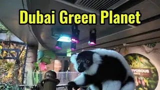 Green Planet Dubai I Unveiling the Rainforest Experience I Walking Tour