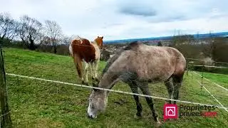 Grande Maison Familiale &agrave; La Boisse ! 😮
