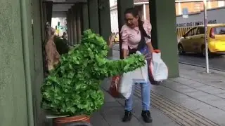 Bushman Prank Funniest Reaction  Crazy Screams