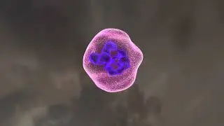 How viral genome integration/ insertion works