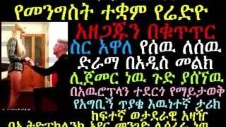 Airplane Marriage Proposal: Ethiopian Man Proposes With Romantic Video During Flight