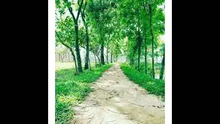 Amezing background music 🎵 and natural hd images||#shorts #youtubeshort #backgraundchange #a2#shorts