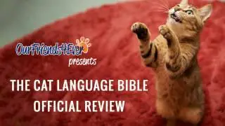 The Cat Language Bible Review - How to Understand cat's behavior and body language