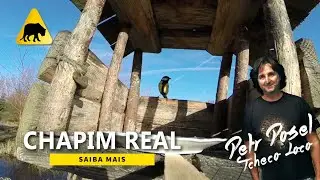 Chapim Real
