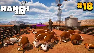 &iexcl;Mueren TODAS LAS VACAS DE LA FINCA! | Ranch Simulator #18