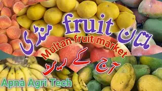 multan sabzi fruit mandi multan today
