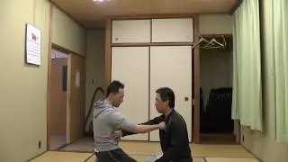 システマ( SYSTEMA )　力の源を探る（ヴラディミア・ザイコフスキー(Vladimir Zaikovsky)氏の動きの研究)