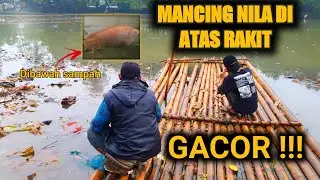 Mancing Nila Babon Di Situ Lipi Citayam ~ Jaelani ikhwan