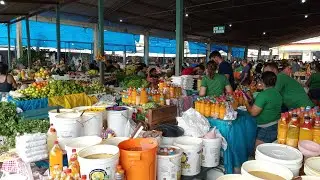 FEIRA NA AMAZÔNIA,  VOCE JA VIU ??🐟