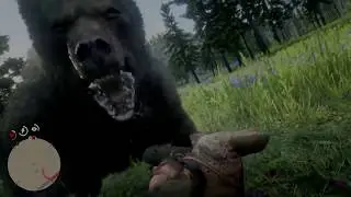 Red Dead Redemption 2 beary surprise