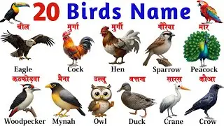 20 Birds Name for Kids 🐦 | Learn Bird Names in English | Birds Names with Pictures | Kids Learning