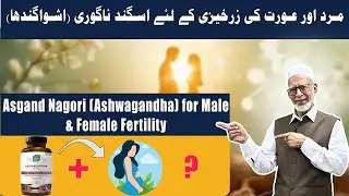 Asgand Nagori (Ashwagandha) for Male & Female Fertility | Improve Sperm & Egg Health Naturally