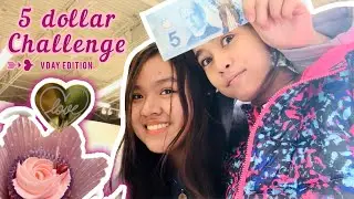 5 dollar Challenge at Superstore 💸💝🛒 | Kayla Rosin