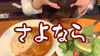 京大卒さんとも別れたし、元カレにも会ってしまった。本末転倒(T_T)【婚活】【アラサー】