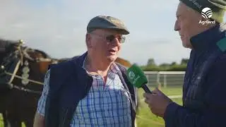 PLOUGHING 2025 | How horse ploughing competitors fared