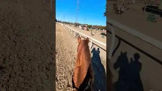 love getting extra practice on the ponies!