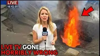 Live TV Gone Horribly Wrong Former Zookeeper Vs  Bison No Delay