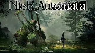 NieR - Peaceful Sleep (cover)