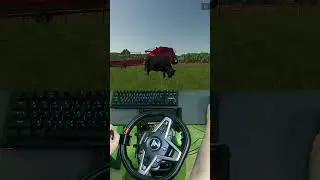 Thrustmaster T248 + FS25 + 🐄 #farmingsimulator25 #thrustmaster #cow