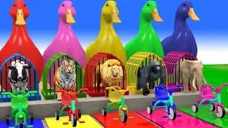 Animals cartoon video hun lion cow pig chicken elephant tiger bhallo jojo cartoon video game 