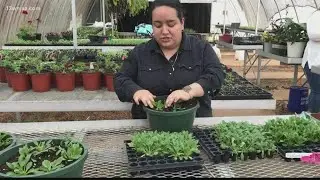 US Census data shows Hispanic community booming in Central Georgia