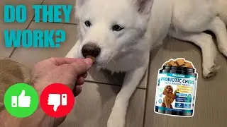 Woyamay Review: Why My Dogs Beg For These Treats Every Day