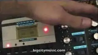 Euthymia ICBM Fuzz Processing Minimoog Voyager